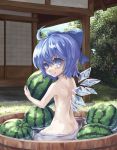  ahoge ass bad_id basin bathing blue_eyes blue_hair blush bow child cirno detached_wings food fruit hair_bow ice ice_wings mumulatte nude short_hair smile solo touhou water watermelon wings 