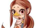  beak brown_hair face long_hair medli mizone payot ponytail red_eyes rito scarf solo the_legend_of_zelda wind_waker 