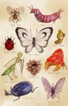  beedrill butterfree chupachup heracross ledyba no_humans parasect pineco pokemon realistic scolipede scyther sewaddle traditional_media venomoth watercolor_(medium) 