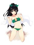  bikini black_hair blue_eyes ganaha_hibiki green_bikini hamster idolmaster long_hair ohayohayo ponytail ribbon sandals swimsuit 