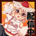  animal_ears bad_id bespectacled blush detached_sleeves glasses hat ikue_fuuji inubashiri_momiji navel open_mouth red_eyes short_hair silver_hair solo stickam tail tokin_hat touhou translated wide_sleeves wolf_ears wolf_tail 
