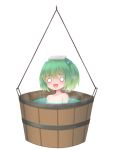  bathing bucket collarbone green_hair hair_bobbles hair_ornament in_bucket in_container kisume mochi.f o_o open_mouth short_hair solo touhou twintails water white_background 