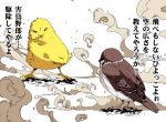  bird chick eurasian_tree_sparrow no_humans original peptide smoke sparrow translated 