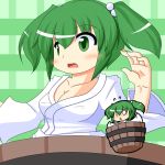  blush breasts bucket cleavage collarbone green_hair hair_bobbles hair_ornament in_bucket in_container kisume long_sleeves multiple_girls open_mouth touhou twintails urushi wide_sleeves 