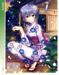  blue_hair blush east_asian_architecture fireflies fireworks flower fujima_takuya hair_flower hair_ornament japanese_clothes kimono light_smile neon_genesis_evangelion night sandals senkou_hanabi short_hair sparkler tatami tree wind_chime yukata 