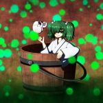  bucket empty_eyes green_eyes hair_bobbles hair_ornament ilk in_bucket in_container kisume long_sleeves short_hair skull smile solo touhou twintails wide_sleeves 