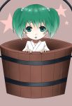  bucket green_eyes green_hair hair_bobbles hair_ornament in_bucket in_container kisume open_mouth short_hair solo touhou twintails 