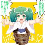  blush bucket green_eyes green_hair hair_bobbles hair_ornament in_bucket in_container kairakuen_umenoka kisume long_sleeves open_mouth outstretched_arms short_hair solo too_bad!_it_was_just_me! tougall touhou translated translation_request twintails wide_sleeves 