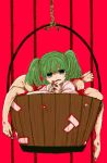  blood bucket green_eyes green_hair hands highres in_bucket in_container kisume legs open_mouth rope shima_mei shimana_(cs-ts-az) short_hair solo touhou twintails 