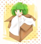  blush box green_eyes green_hair hair_bobbles hair_ornament hosikuzu in_box in_container kisume long_sleeves open_mouth short_hair solo touhou twintails wide_sleeves 