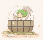  blush egg_shell green_eyes green_hair hair_bobbles hair_ornament in_container inishie kisume nest short_hair side_ponytail smile solo touhou 