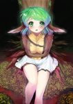  animal_ears bdsm blush bondage breasts danbo_(rock_clime) green_eyes green_hair homeless_mk_ii kasodani_kyouko large_breasts looking_at_viewer open_mouth rope short_hair skirt solo tears tied_up touhou tree 