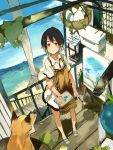  apron basket black_hair blush brown_eyes cloud clouds dress easel egg fox from_above looking_at_viewer looking_up mk_(masatusaboten) multicolored_hair original paint palette plant sand short_hair sky smile solo stairs two-tone_hair white_hair 