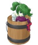  bags_under_eyes bucket character_request collarbone green_hair hair_bobbles hair_ornament in_bucket in_container kisume multiple_girls note-takahashi off_shoulder purple_eyes purple_hair short_hair smile touhou twintails violet_eyes yandere 