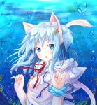  :o animal_ears bangs blue_eyes blue_hair bubble bubbles bust cat_ears cat_tail mitsuki original red_ribbon ribbon short_hair solo tail underwater 