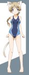  ahoge animal_ears blue_eyes blush breasts brown_hair competition_swimsuit long_hair lynette_bishop navel one-piece_swimsuit smile solo strike_witches swimsuit tail yumekaranigeruna 