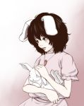  brown_hair bunny bunny_ears inaba_tewi konton rabbit rabbit_ears short_hair tears touhou 