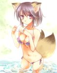  bikini fox_(trickster) fox_ears fox_tail glasses multiple_tails side-tie_bikini swimsuit tail tanuki_neiri trickster water 
