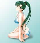  1girl bikini blue_bikini breasts butt_crack fire_emblem fire_emblem:_rekka_no_ken green_eyes green_hair highres long_hair lyndis_(fire_emblem) ponytail side-tie_bikini solo swimsuit tamamon 