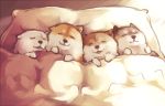  bed dog ginziro lying no_humans on_back original pillow shiba_inu sleeping traditional_media under_covers 