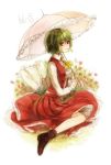  ascot flower green_hair kazami_yuuka lips long_sleeves red_eyes sitting skirt skirt_set smile solo toma_(me666nm) touhou translation_request umbrella 