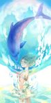  dolphin highres koyami_tsukito looking_at_viewer original water 