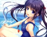  alpha animal black_hair blue blue_eyes fish original pool school_swimsuit swimsuit twintails water wet 