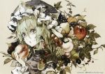  apple artist_name banpai_akira bust food fruit grapes green_hair grey_eyes hat highres holding peach pear scan shikieiki_yamaxanadu short_hair silver_eyes solo strawberry touhou 