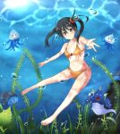  black_hair dragon dragon_quest dragon_quest_iii fighter_(dq3) foreshortening freediving jellyfish jiino long_hair slime_(dragon_quest) swimsuit twintails underwater 