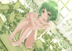  barefoot blush collarbone couch curtains dress dutch_angle feet feet_on_chair green green_eyes green_hair gumi heirou leaf looking_at_viewer short_hair sitting solo strap_slip sunlight toes vines vocaloid window 