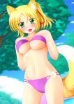  1girl animal_ears bikini blonde_hair dog_days fox_ears fox_tail green_eyes sei_(6862879) solo swimsuit tail yukikaze_panettone 