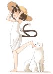  alternate_costume animal_ears barefoot brown_eyes brown_hair cat_ears cat_tail chen dog dress foot_licking hat hat_tug licking nakashino_setsu open_mouth short_hair simple_background solo straw_hat sun_hat tail touhou white_background 
