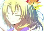  aki_shizuha anime_coloring blonde_hair character_name closed_eyes eyes_closed leaf maple_leaf rhine short_hair smile solo touhou 