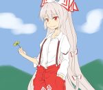  blue_sky dress_shirt flower fujiwara_no_mokou grey_hair hair_ribbon hand_in_pocket long_hair miyo_(ranthath) red_eyes ribbon shirt sky sleeves_pushed_up smile solo suspenders touhou very_long_hair 