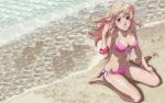  bikini blush macross_frontier sheryl_nome swimsuit 