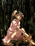  bamboo bamboo_forest barefoot black_hair bloomers blush bunny_ears bunnygirl dress forest inaba_tewi leaf nature red_eyes shade short_hair sitting sun-3 tewi_inaba touhou usagimimi 