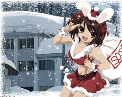  breasts bunnygirl christmas midriff skirt suzumiya_haruhi suzumiya_haruhi_no_yuuutsu usagimimi wallpaper 