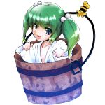  bucket girl_in_bucket green_eyes green_hair highres in_bucket in_container kamikage_kirino kisume short_hair solo touhou twintails 