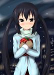  brown_eyes gift holding holding_gift k-on! long_hair nakano_azusa night nishiumi_yuuta snow solo twintails winter_clothes 