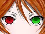  brown_hair close-up eyes green_eyes heterochromia red_eyes rozen_maiden suiseiseki viral_(fortis) 