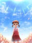  brown_eyes brown_hair child doujima_nanako flower highres kamioyuu persona persona_4 short_twintails sky solo twintails 