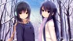  2girls coffee-kizoku tagme 