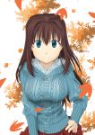  aozaki_aoko autumn blue_eyes breasts brown_hair hand_on_hip highres jacket large_breasts leaf long_hair mahou_tsukai_no_yoru nguyen_van-hai smile solo taut_shirt 