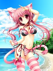  animal_ears bangle beach bell bikini black_bikini blush bracelet breasts cat_ears cat_tail clouds collar female hair hair_tubes highres jewelry kamiya_tomoe leash long_hair looking_at_viewer navel original pink_eyes pink_hair skimpy smile solo striped striped_bikini striped_legwear striped_swimsuit stripes swimsuit tail thigh-highs thigh_highs thighhighs water waves 