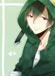  green_hair hoodie kagerou_project kuruwa223 red_eyes seto_(kagerou_project) solo vocaloid 