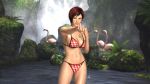  1girl 3d bikini bird breasts checkered checkered_bikini dead_or_alive dead_or_alive_5 duplicate fighting_stance flamingo fringe highres mila mila_(dead_or_alive) navel official_art red_bikini redhead short_hair side-tie_bikini sideboob solo swimsuit toned under_boob wallpaper water 