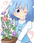  amakaeru blue_eyes blue_hair flower flower_pot highres plant potted_plant short_hair skirt smile solo tatara_kogasa touhou wink 