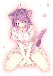  ahoge animal_ears barefoot blush cat_ears long_hair matsusaka_gyuu naked_shirt original purple_eyes purple_hair short_sleeves sitting solo tail thighs v_arms violet_eyes wariza 