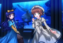  :d :o antenna_hair aquarium blue_eyes blue_hair blush bow brown_hair card_captor_sakura cardcaptor_sakura daidouji_tomoyo dress fish gloves green_eyes hair_bow hair_ornament hair_ribbon hat holding kinomoto_sakura long_hair looking_at_viewer moonknives multiple_girls mutsuki_(moonknives) open_mouth purple_eyes ribbon short_hair smile twintails violet_eyes whale 