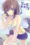  1girl ame_yamori animal_ears bandage bandages blue_eyes braid breasts brioche_d&#039;arquien brown_hair cleavage dog_days large_breasts long_hair single_braid solo tail title_drop wet 